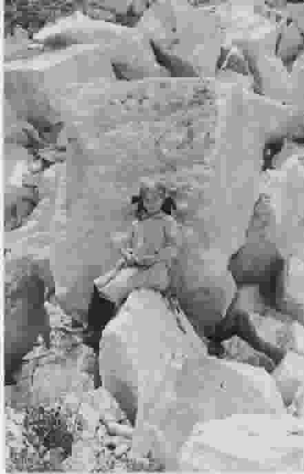 Frances Perry 1912