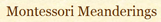 Montessori Meanderings