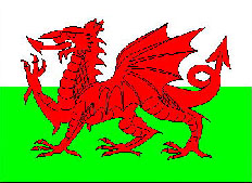 Welsh Flag